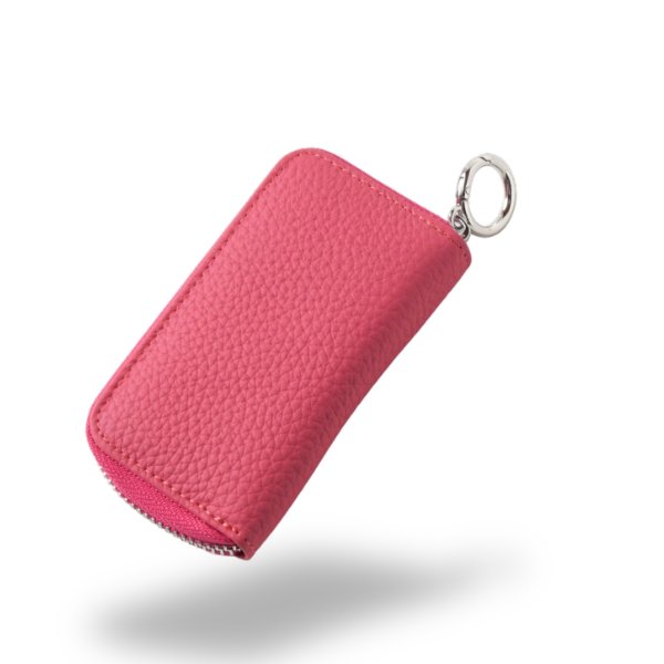 画像9: トナリノショップ　スマートアクセスキーケース　Hookin (9)