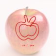 画像18: トナリノショップ ホットペーパークリップ デザインクリップ 事務用品 10個セット (18)