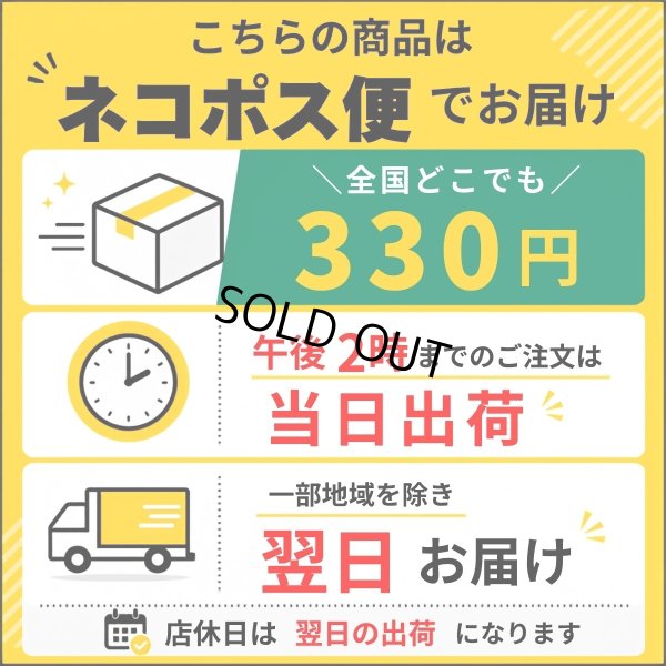 画像13: 【50%OFF】BAGGYPORT / バギーポート OIL CORDOVAN カードケース  (13)