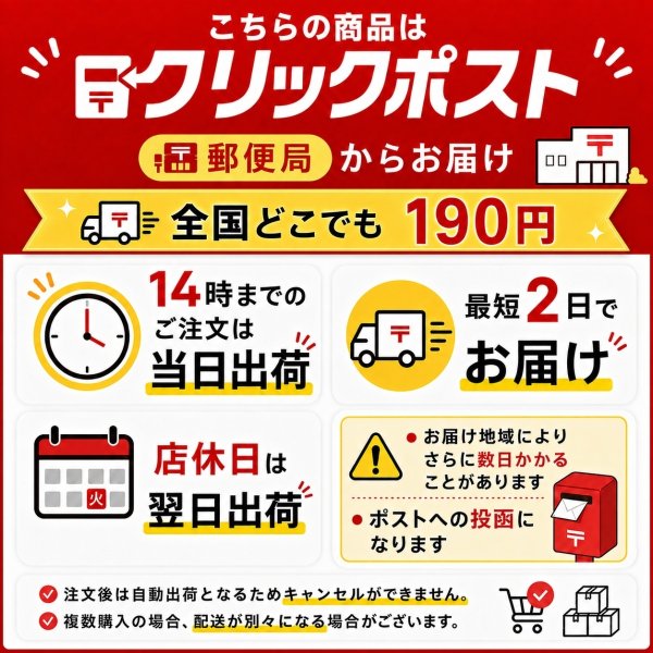 画像8: KCs / ケイシイズ オールド5セントコンチョ (8)