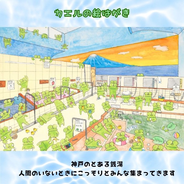 画像3: kidsドリンク / キッズドリンク　本日、ケロ満員。人間のいない銭湯で・・・。カエルの銭湯 ポストカード ハガキ 手描きイラスト (3)